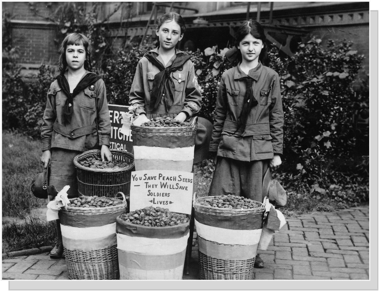 Peach Pits turned into carbon for gas mask filters, Washington DC 1916.